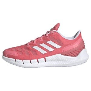 ADIDAS PERFORMANCE Športová obuv 'Ventania'  ružová / biela