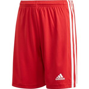 ADIDAS PERFORMANCE Športové nohavice 'Squadra 21'  červená / biela