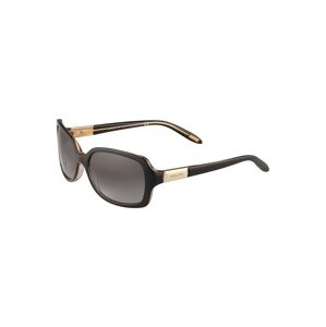 Ralph Lauren Slnečné okuliare  čierna / zlatá