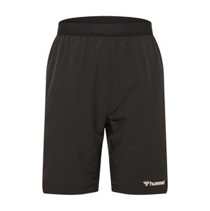 Hummel Športové nohavice 'Torin'  čierna / biela