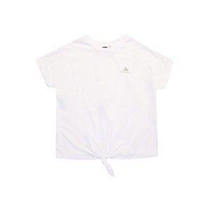 ADIDAS PERFORMANCE Funkčné tričko  strieborná / biela
