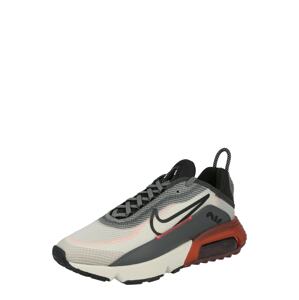 Nike Sportswear Nízke tenisky 'Air Max 2090'  svetlosivá / sivá / čierna