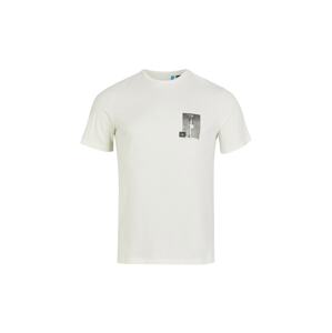 O'NEILL T-Shirt 'Veggie Frame'  biela / sivá / čierna