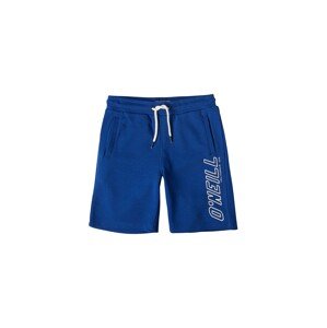 O'NEILL Shorts 'All Year Round'  modrá