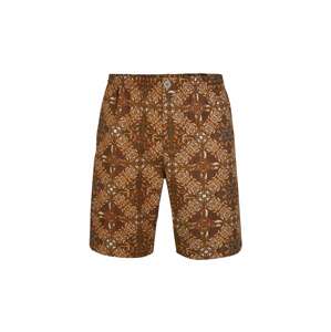 O'NEILL Shorts 'Lombok'  hnedá / čierna / biela / horčicová