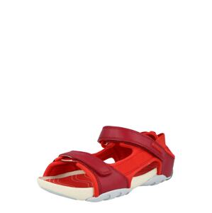 CAMPER Sandále 'Ous'  rubínová / červená