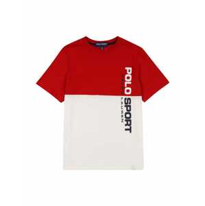Polo Ralph Lauren T-Shirt  biela / červená / tmavomodrá