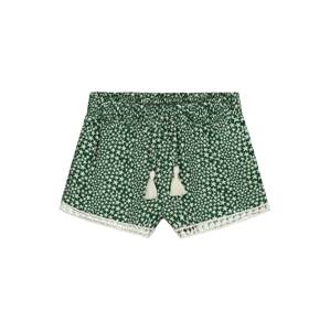 Shiwi Shorts 'Tuvalu'  zelená / biela