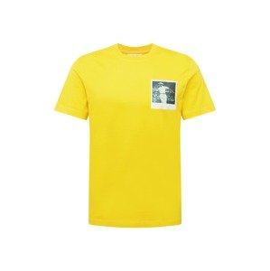 LACOSTE Tričko  žltá / biela / sivá