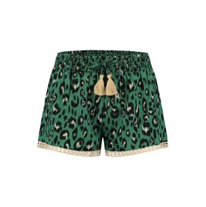 Shiwi Shorts  zelená / čierna / béžová