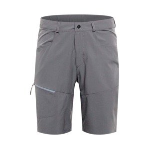 4F Sport-Shorts  sivá
