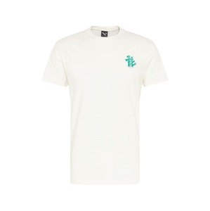 Iriedaily T-Shirt 'Consciousness'  šedobiela / zelená