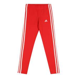 ADIDAS PERFORMANCE Športové nohavice  biela / ohnivo červená