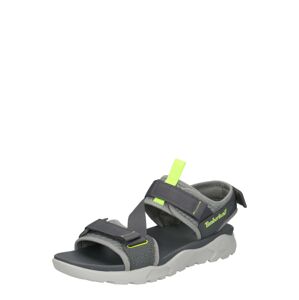 TIMBERLAND Trekingové sandále  sivá / neónovo zelená