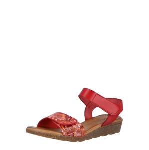 COSMOS COMFORT Sandále  červená / zmiešané farby