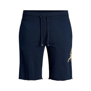 Jack & Jones Junior Shorts 'Jackson'  námornícka modrá / svetložltá