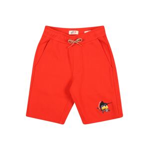 SCOTCH & SODA Shorts  červená / čierna / biela / čadičová / oranžová