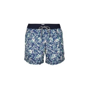 O'NEILL Shorts  biela / nefritová / modrá