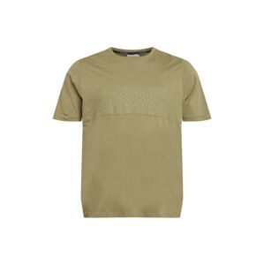 Calvin Klein T-Shirt  olivová