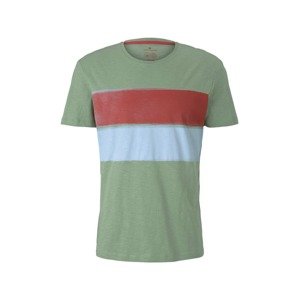 TOM TAILOR Tričko  pastelovo zelená / svetlomodrá / hrdzavo červená