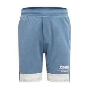 Hummel Športové nohavice  modrá / svetlosivá