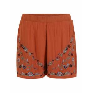 Y.A.S Petite Shorts 'CHELLA'  hnedá / zmiešané farby