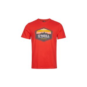 O'NEILL T-Shirt 'Mountain Trademark'  červená / zmiešané farby