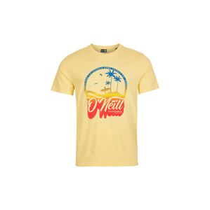O'NEILL T-Shirt  grenadínová / modrá / zlatá žltá