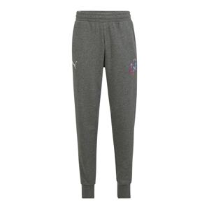 PUMA Športové nohavice 'NEYMAR JR CREATIVITY'  sivá / zmiešané farby