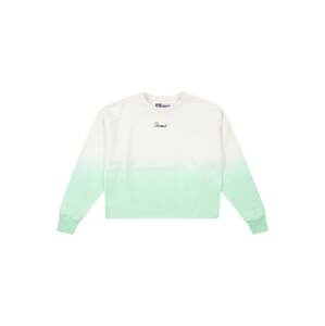 Raizzed Sweatshirt 'WYOMING'  pastelovo zelená / biela