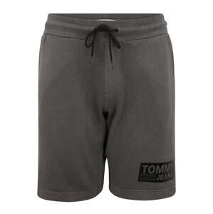 Tommy Jeans Plus Nohavice  čierna