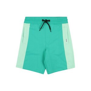 Raizzed Shorts 'RECIFE'  svetlozelená / pastelovo zelená