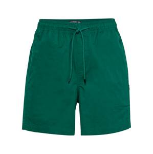 ELEMENT Športové nohavice 'VACATION'  zelená