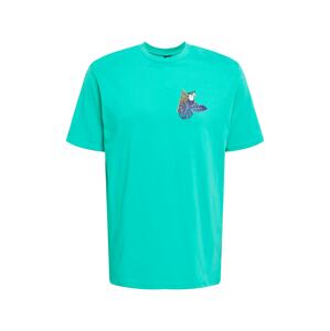 OAKLEY Funkčné tričko 'TOUCAN TROPICAL'  nefritová / zmiešané farby