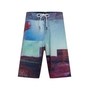 OAKLEY Surferské šortky 'OUTER LIMITS 20'  tyrkysová / indigo / farba lesného ovocia