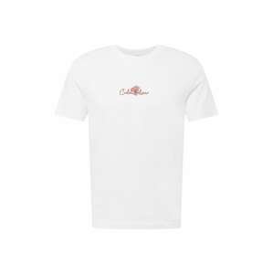 Calvin Klein Tričko 'SUMMER'  biela / červená