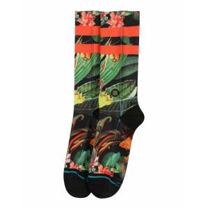 Stance Športové ponožky 'PLAYA LARGA'  zmiešané farby / čierna