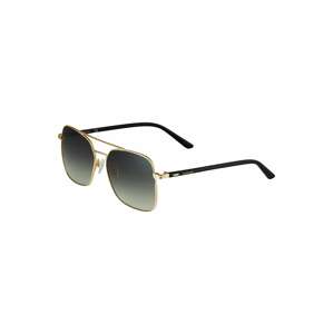 Calvin Klein Slnečné okuliare '21305S'  čierna / zlatá