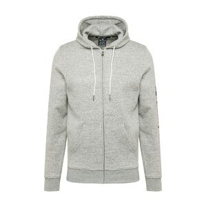 Champion Authentic Athletic Apparel Sweatjacke  sivá