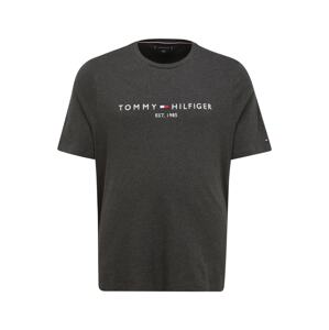 Tommy Hilfiger Big & Tall Tričko  grafitová / biela / tmavomodrá / červená