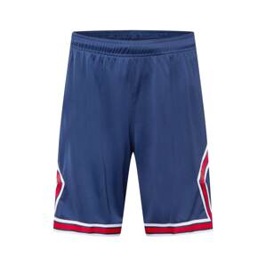 Jordan Športové nohavice  modrá / biela / červená