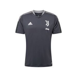 ADIDAS PERFORMANCE Dres 'Juventus Turin'  sivá / biela / tmavosivá