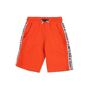 STACCATO Shorts  biela / námornícka modrá / oranžovo červená