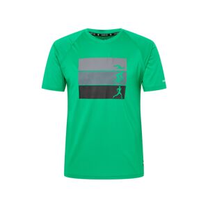 DARE2B Funkčné tričko 'Righteous II'  zelená / čierna / sivá / striebornosivá