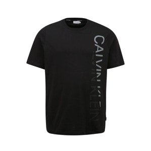 Calvin Klein Big & Tall Tričko  čierna / svetlosivá / sivá