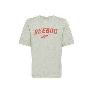 Reebok Classics Shirt 'CL SOFT EDGE LINEAR'  sivá