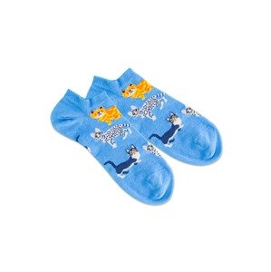 DillySocks Ponožky 'Water Cats'  nebesky modrá / biela / zlatá / námornícka modrá / žltá