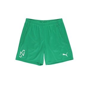 PUMA Športové nohavice 'Neymar'  zelená / biela