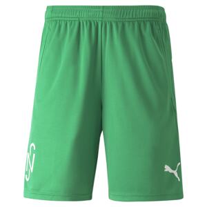 PUMA Športové nohavice 'Neymar'  biela / zelená