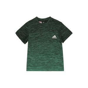 ADIDAS PERFORMANCE Funkčné tričko  zelená / sivá / biela